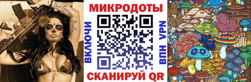 купить   Петропавловск-Камчатский  Галлюциногенные грибы Psilocybe 