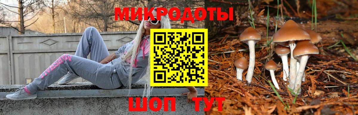 Псилоцибиновые грибы GOLDEN TEACHER Петропавловск-Камчатский